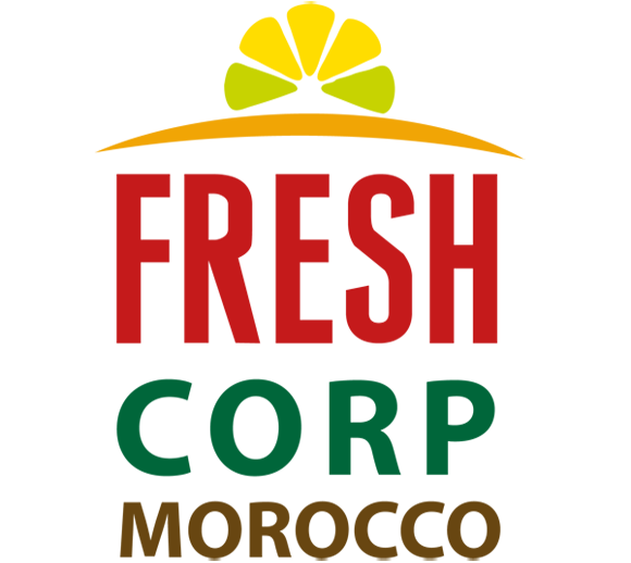 fresh corp morocco