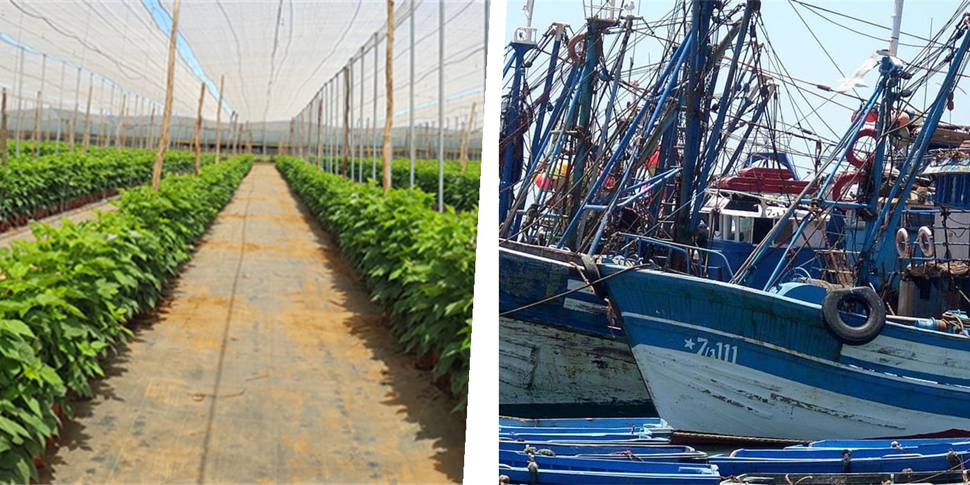 Fresh Corp Morocco – agriculture et pêche