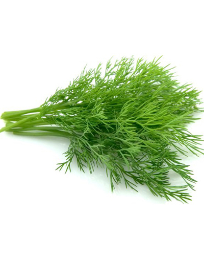 Dill