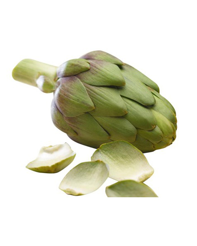 Artichoke