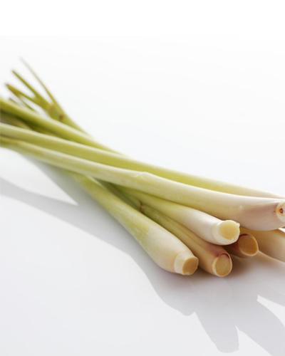 Lemongrass stick