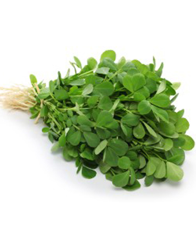 Fenugreek