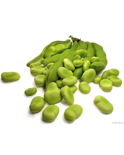 Broad beans