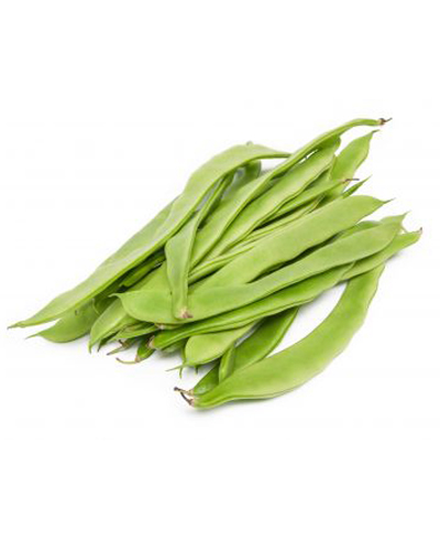 Flat coco bean