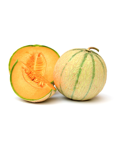 Charentais melon