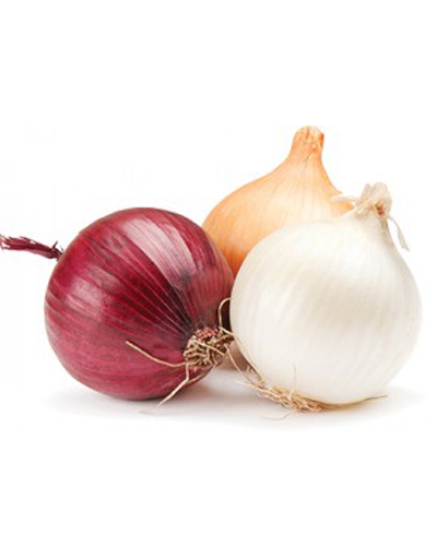 Onion