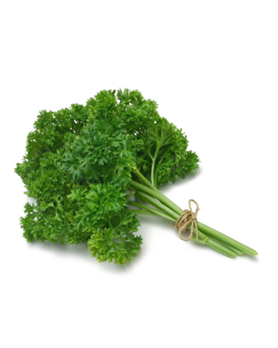 Curly parsley