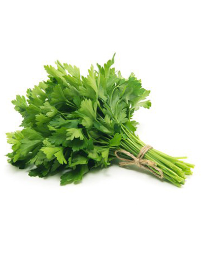 Flat-leaf parsley