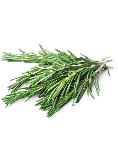 Rosemary