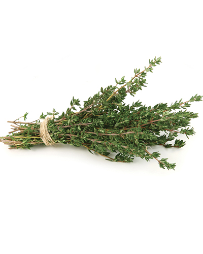 Lemon thyme
