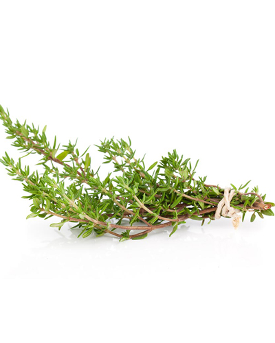 Thyme